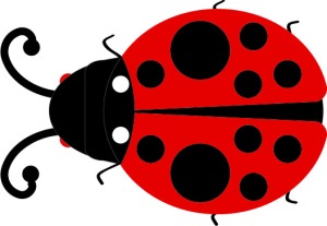 ladybug2_top